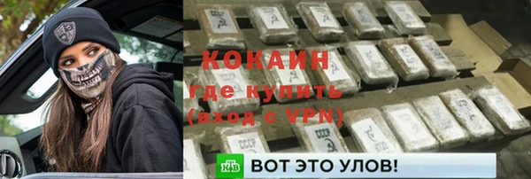 сатива Армянск