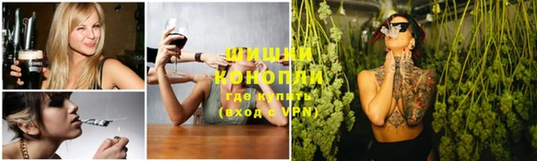 сатива Армянск