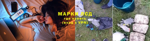 сатива Армянск
