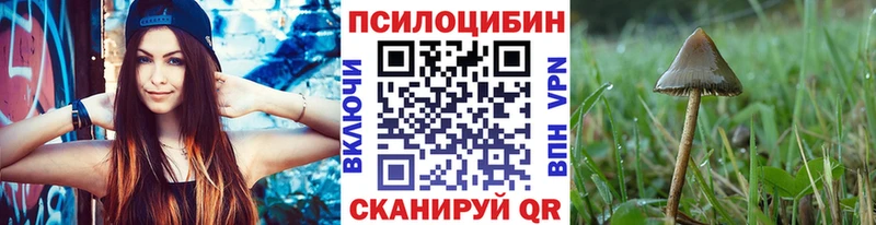 Псилоцибиновые грибы Psilocybine cubensis  Сураж 